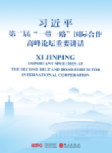 习近平第二届“一带一路”国际合...